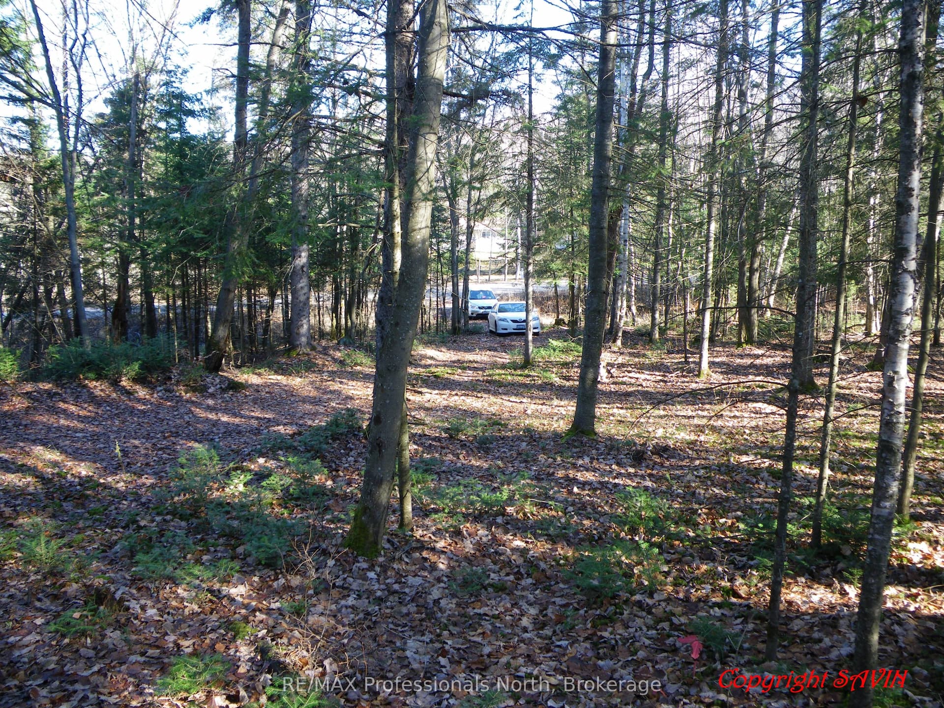 PCL 20438 & 29803 Upper Walker Lake Road — photo 1