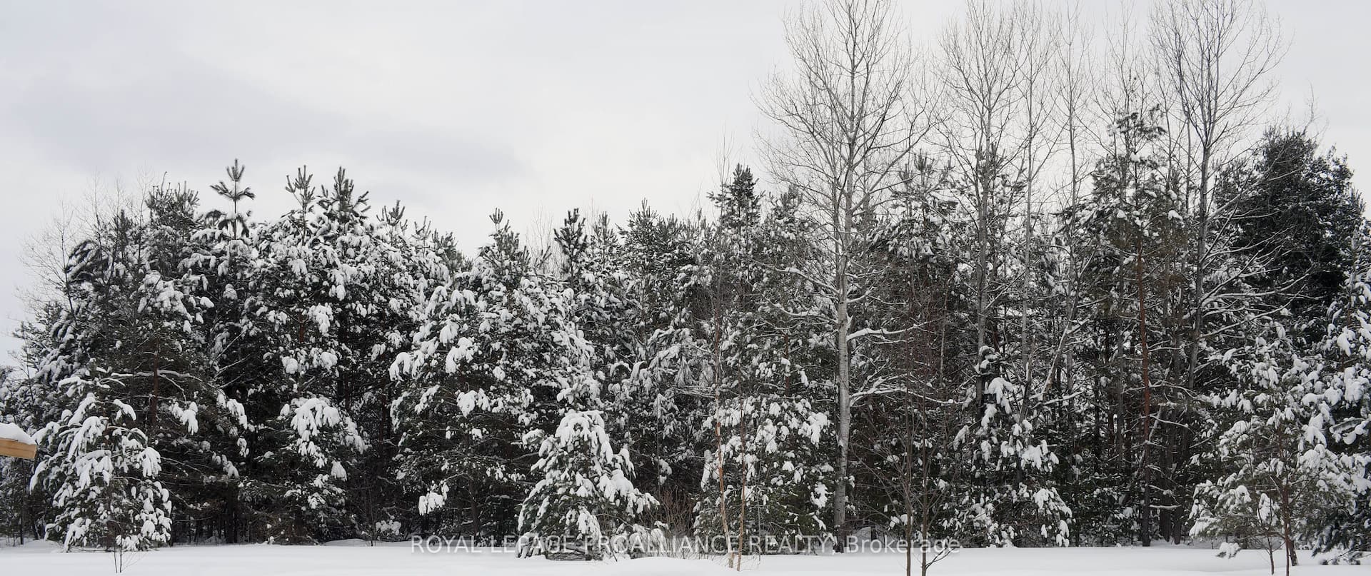 0 Airport Road — photo 1