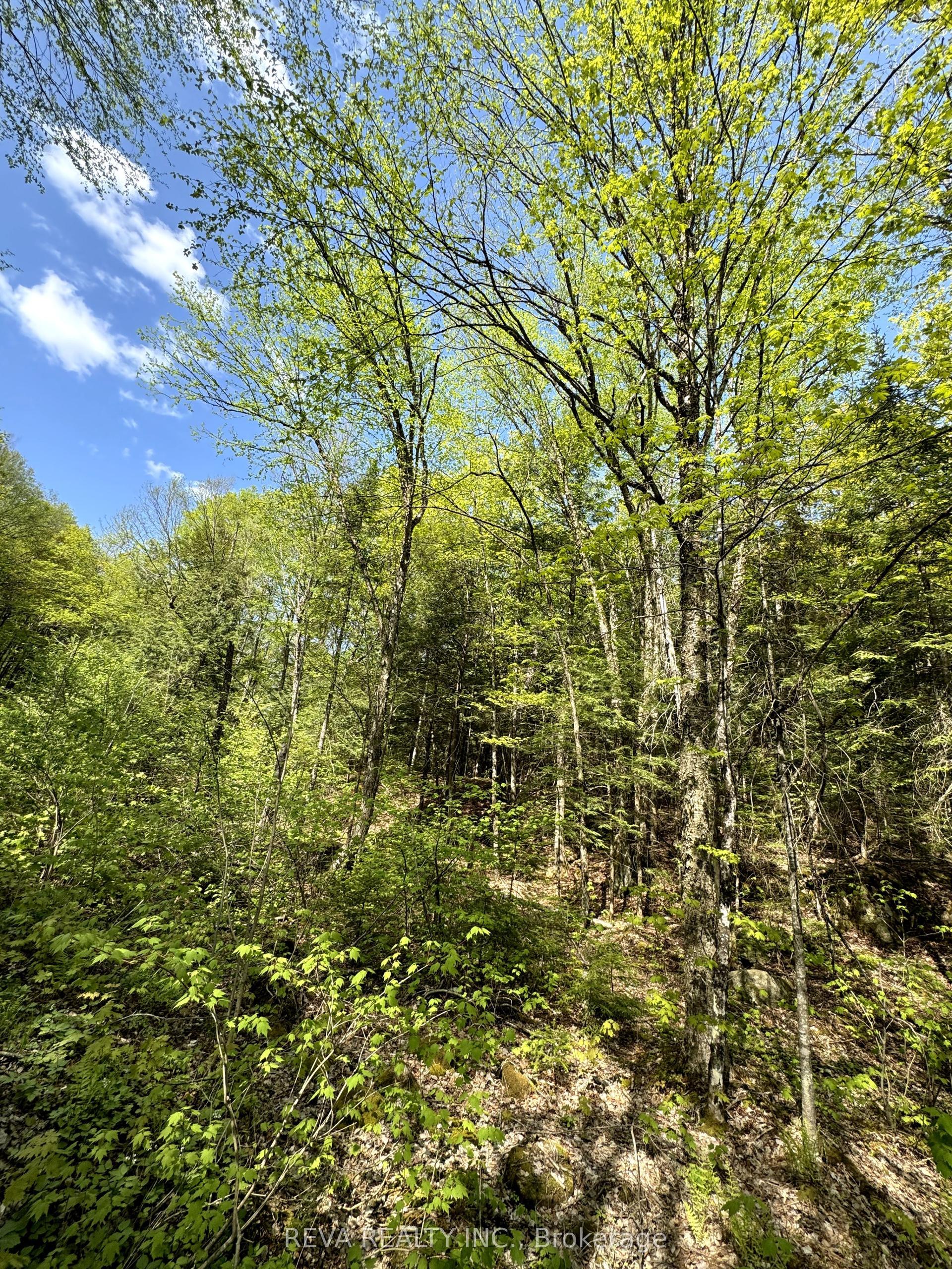 0 Salmon Trout Lake Road — photo 1