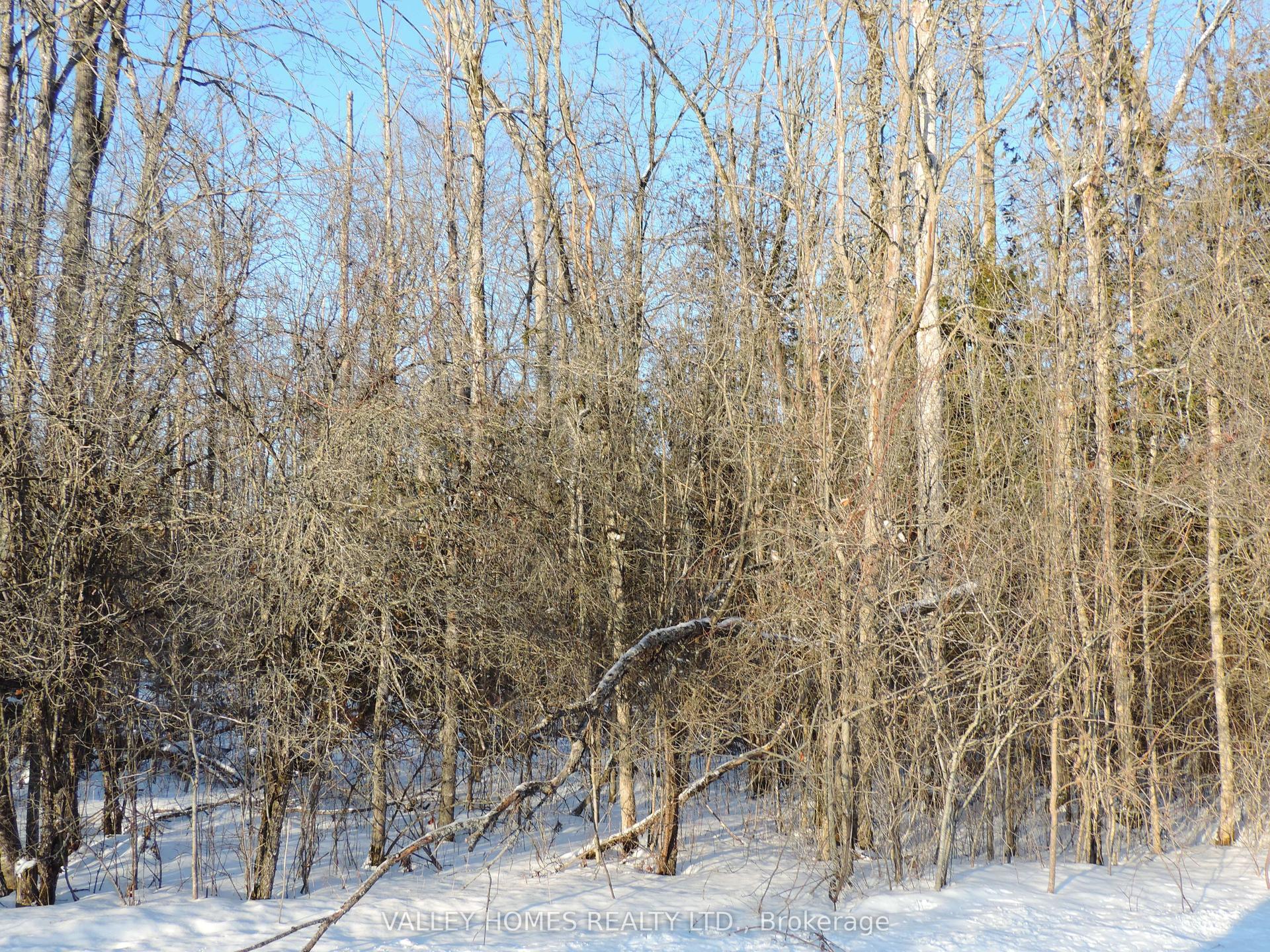 L3 - 283 HARDING Road — photo 1