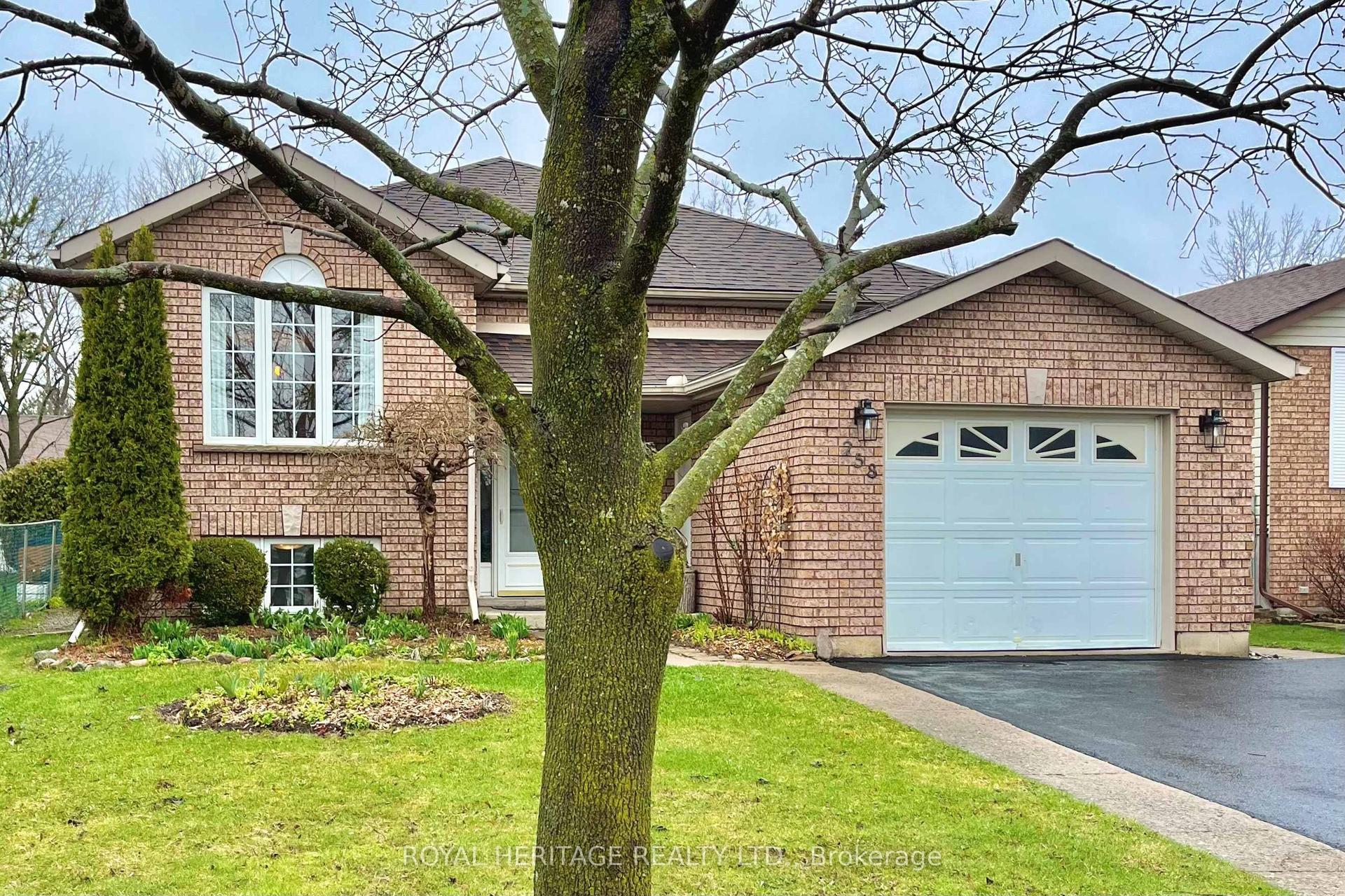 258 Franmor Drive — photo 1