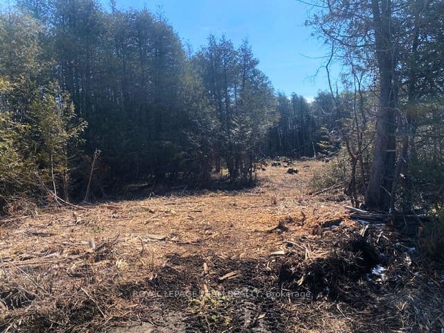 LT 3 ARMSTRONG Road — photo 1