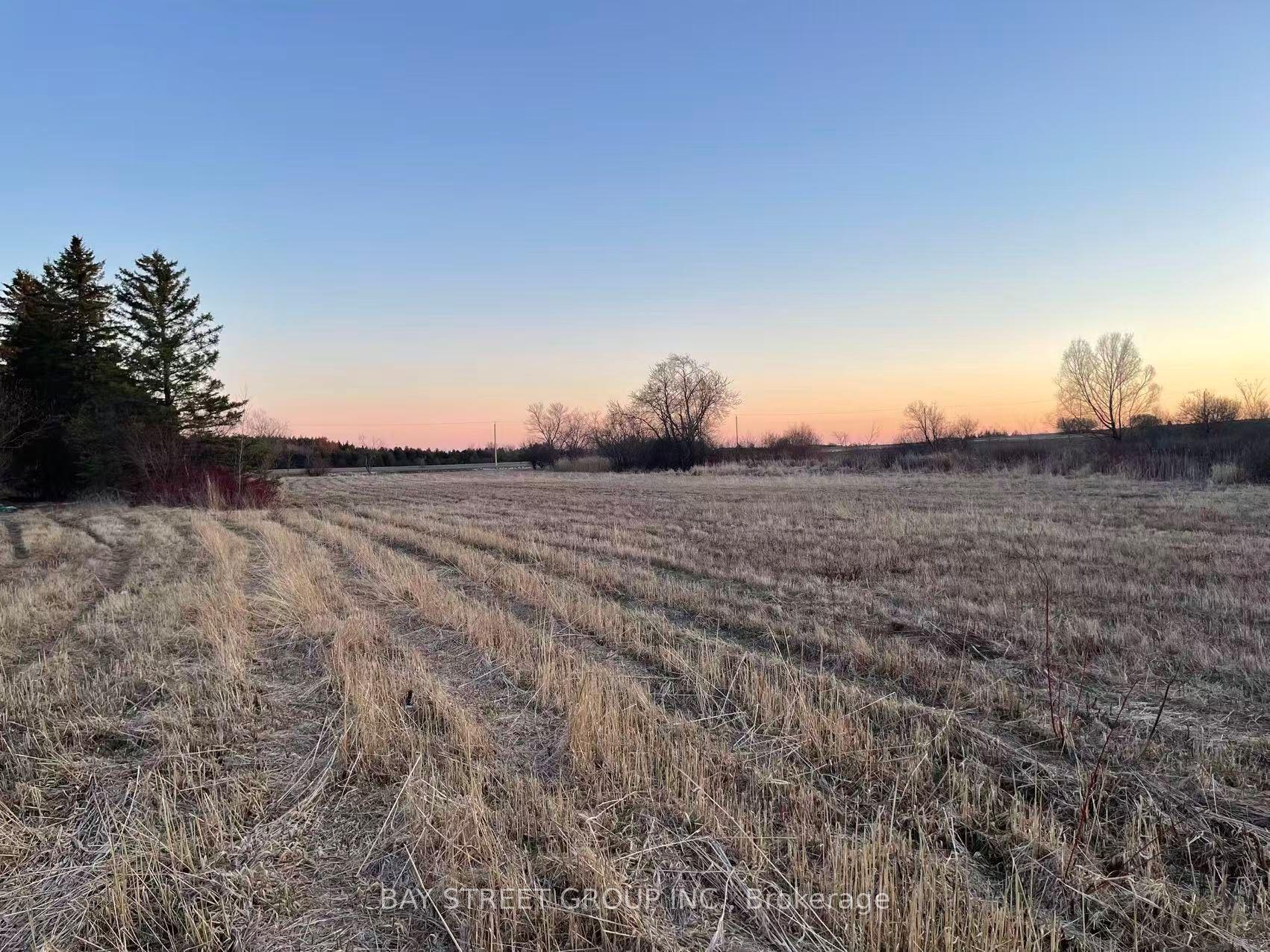 4870 Elgin Mills Road E — photo 1