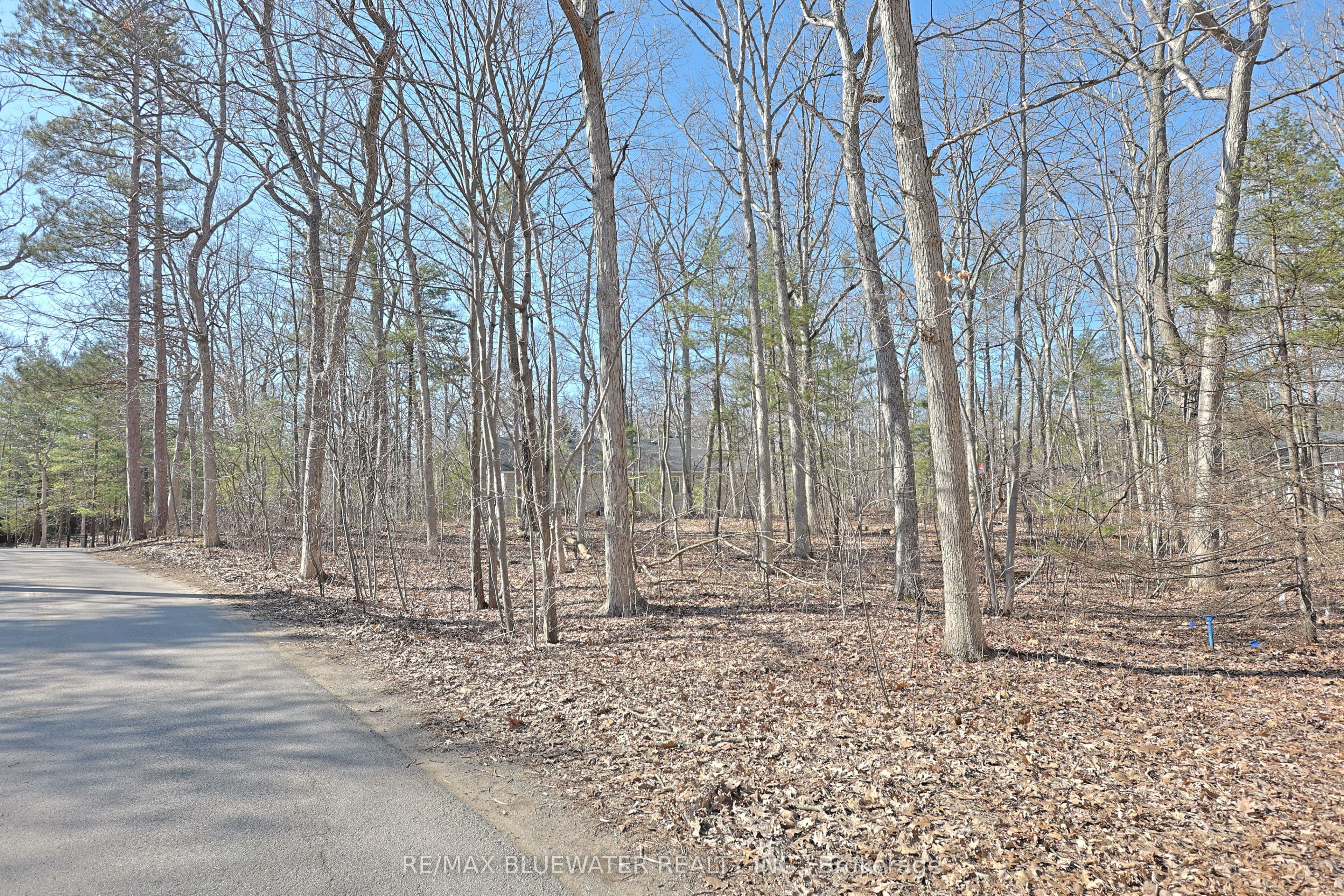 10296 Grand Oaks Drive — photo 1