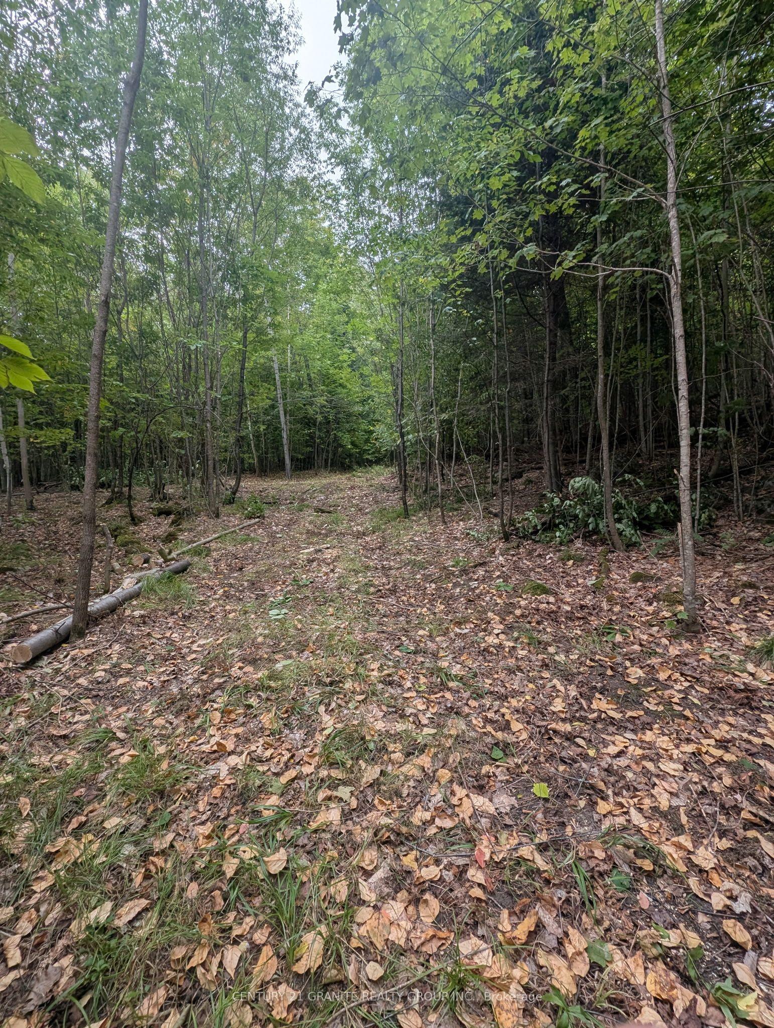 00 Kamaniskeg Lake Road — photo 1