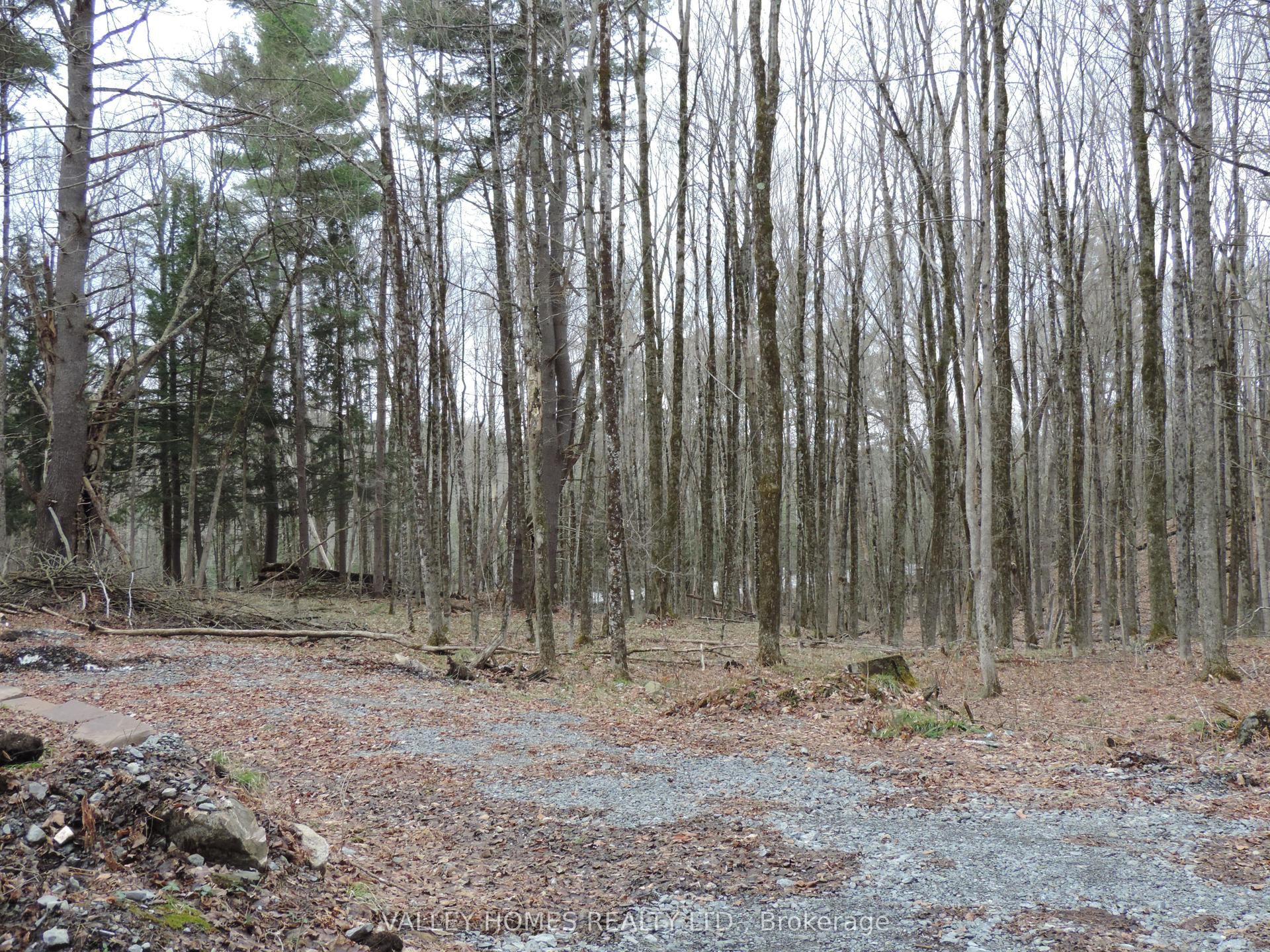 L2 -311 HARDING Road — photo 1