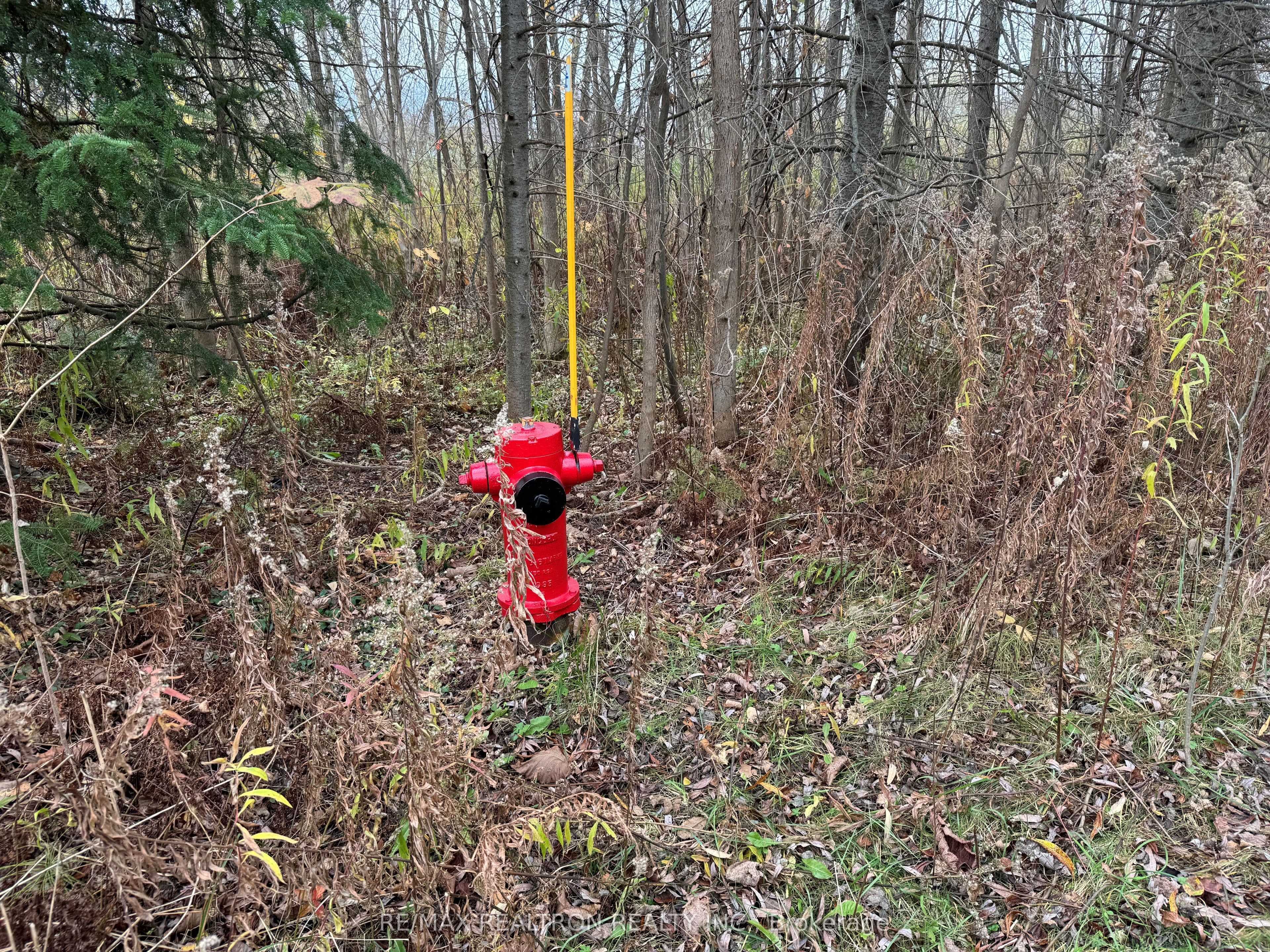 0 Taylorwoods Boulevard — photo 1