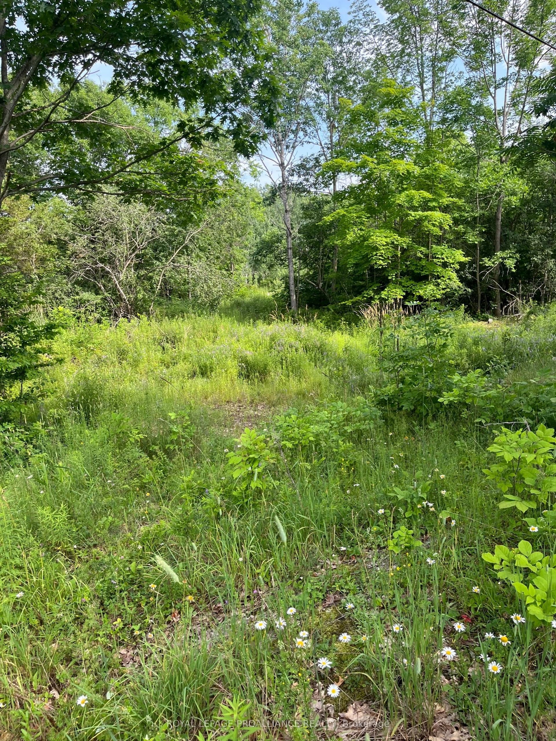 0 Pt Lt 14 Con 3 N/A — photo 1