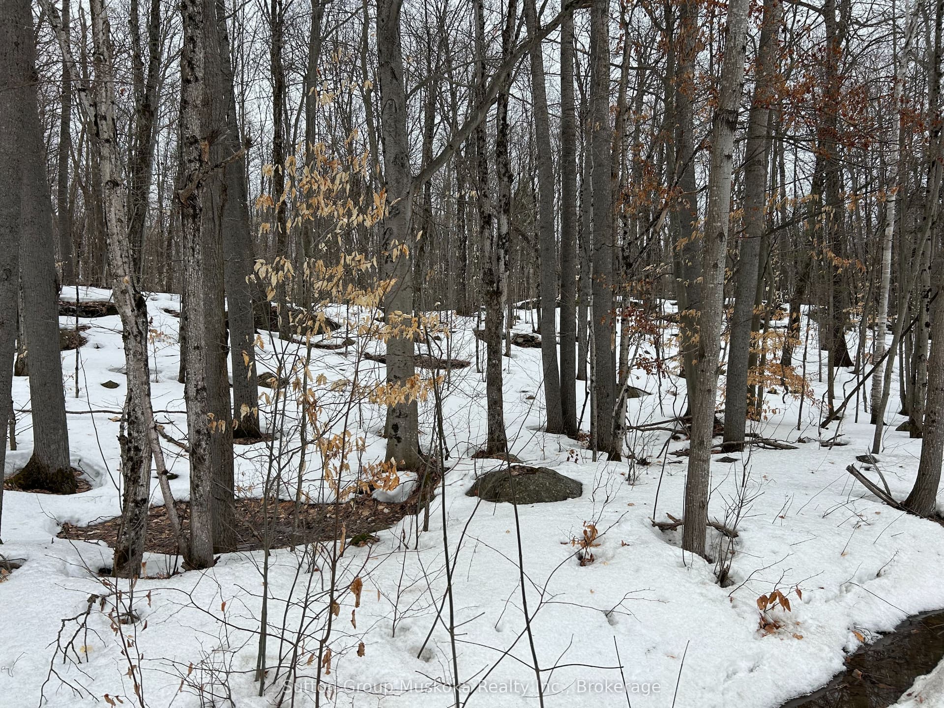 0 Tally Ho Winter Park Road — photo 1