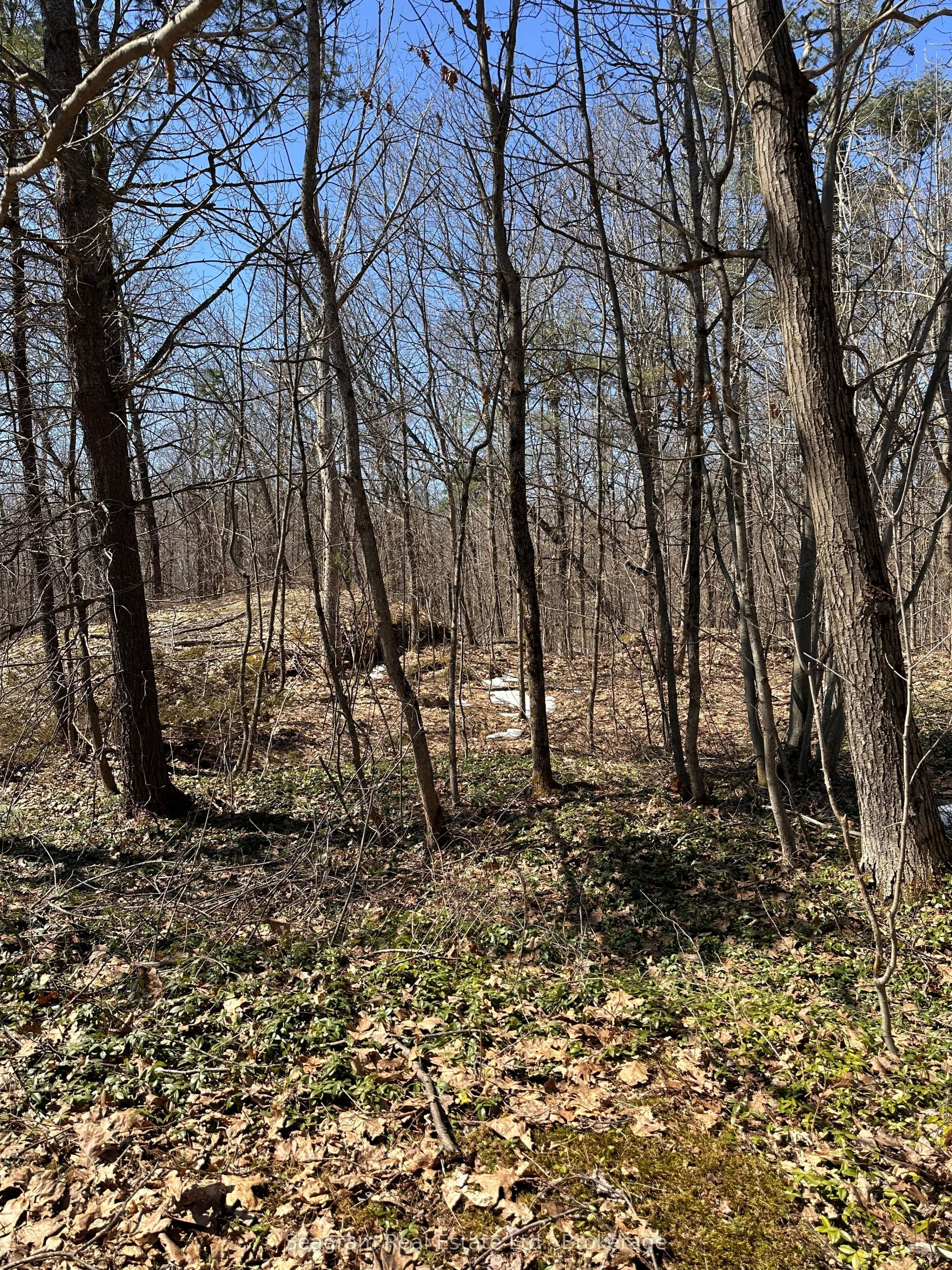 n/a n/a N/A — photo 1