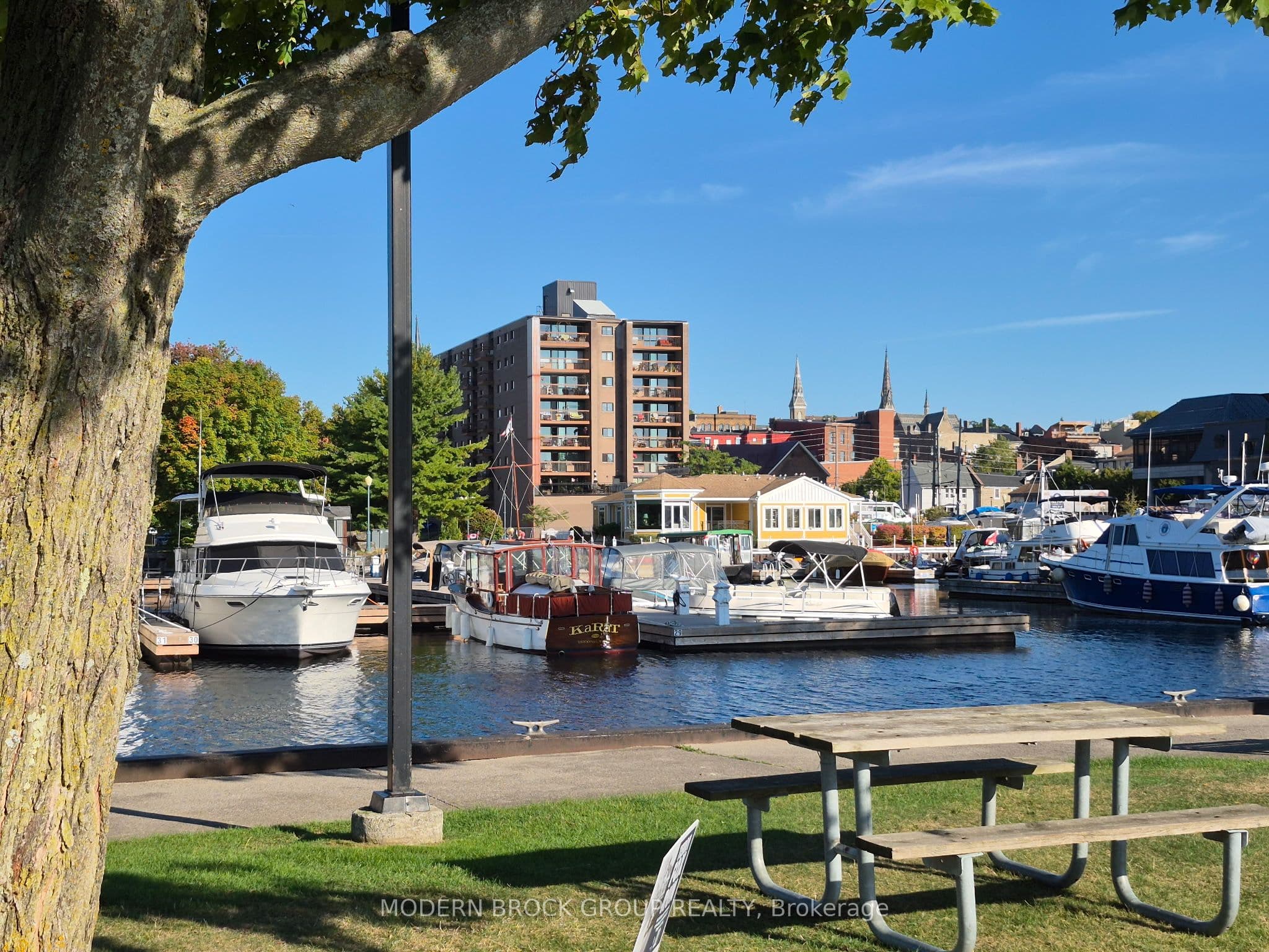 3 Apple Street 703 #703 — photo 1