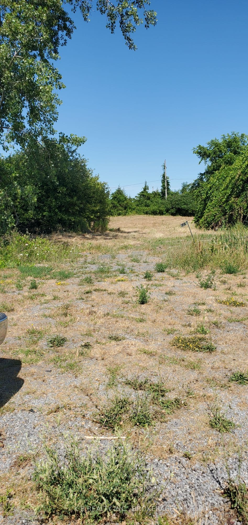 67 Dorland Drive — photo 1