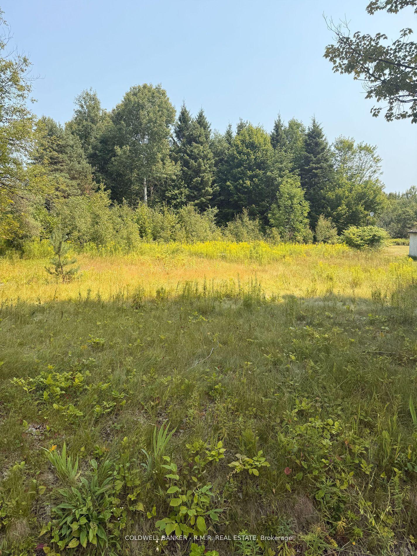 3995 Boulter Road — photo 1