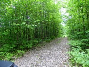 50 Acres in Muskoka North of Bala PCL 31045 N/A — photo 1