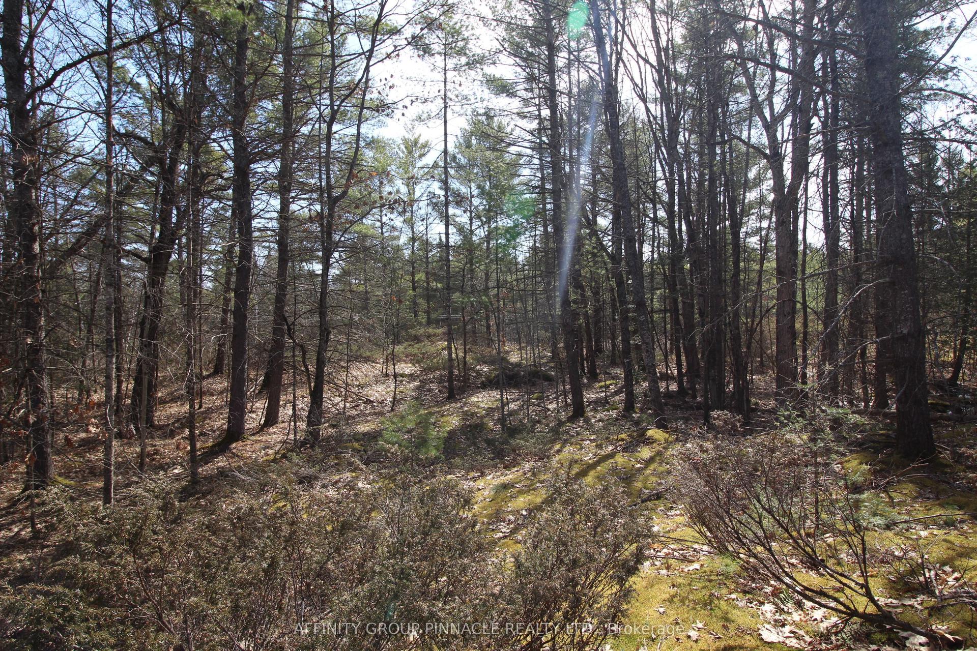 LOT 15 Concession 9 N/A — photo 1