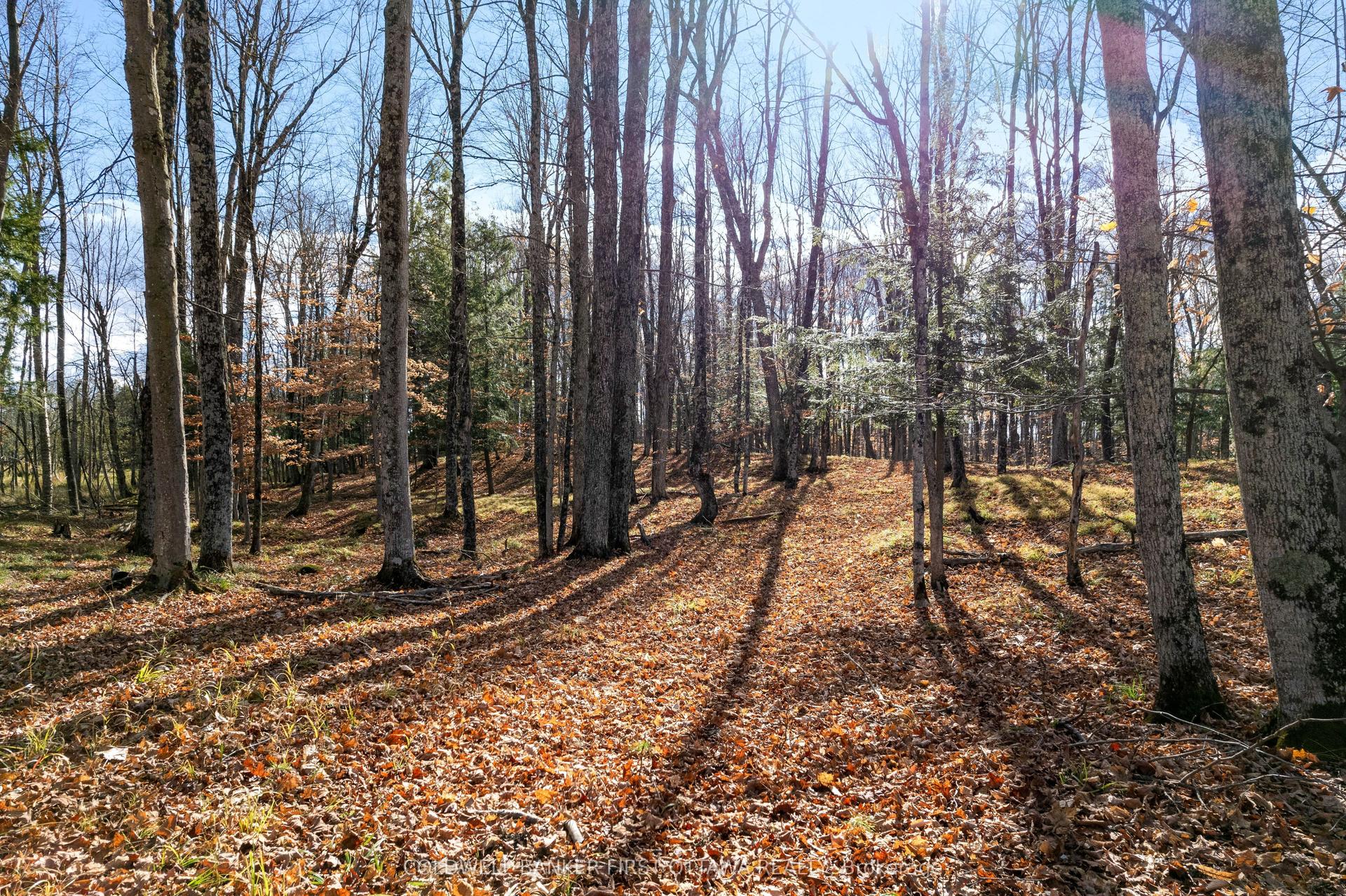 PT 2-00 Herron Mills Road — photo 1