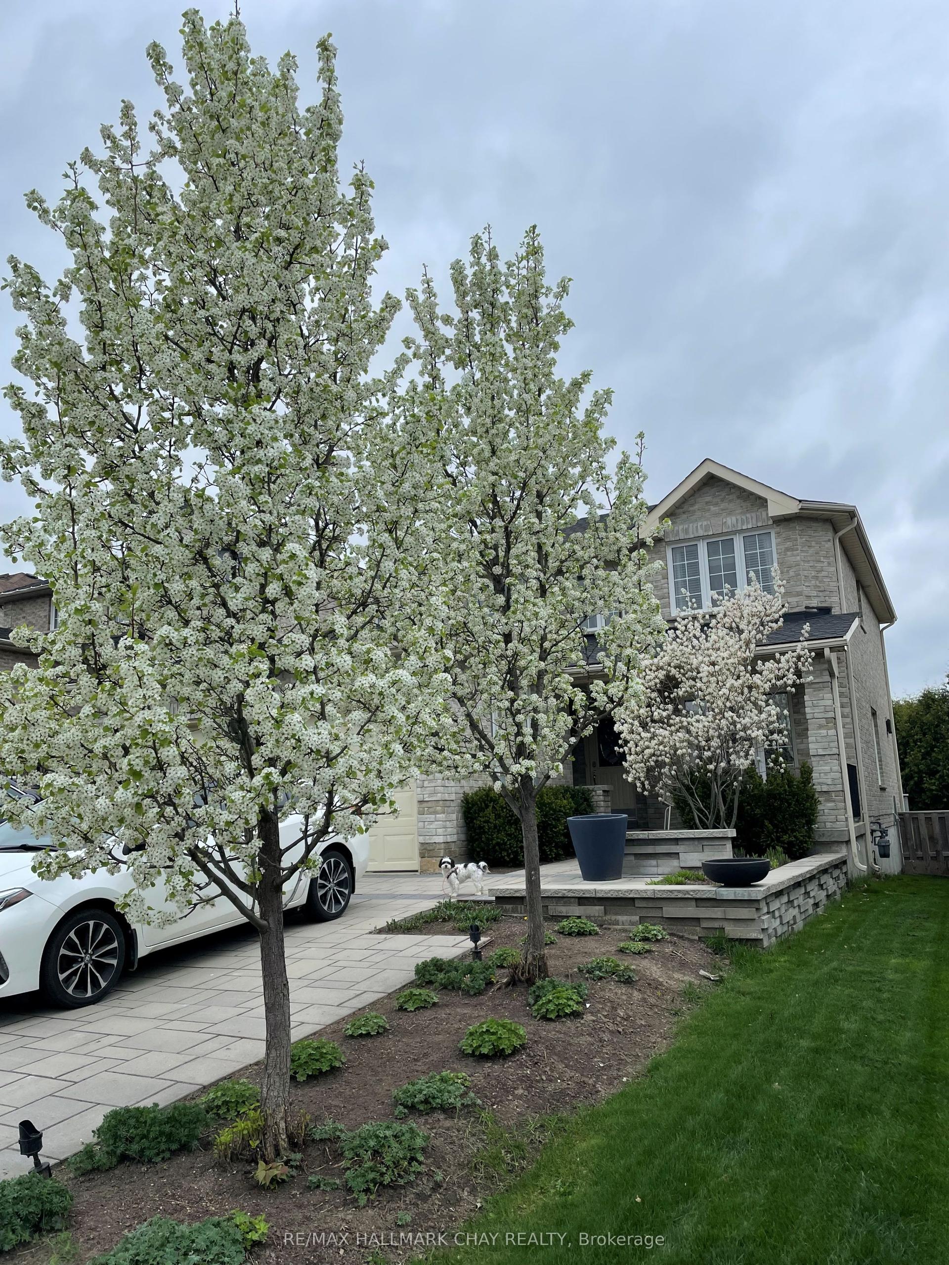 12 Muir Drive — photo 1