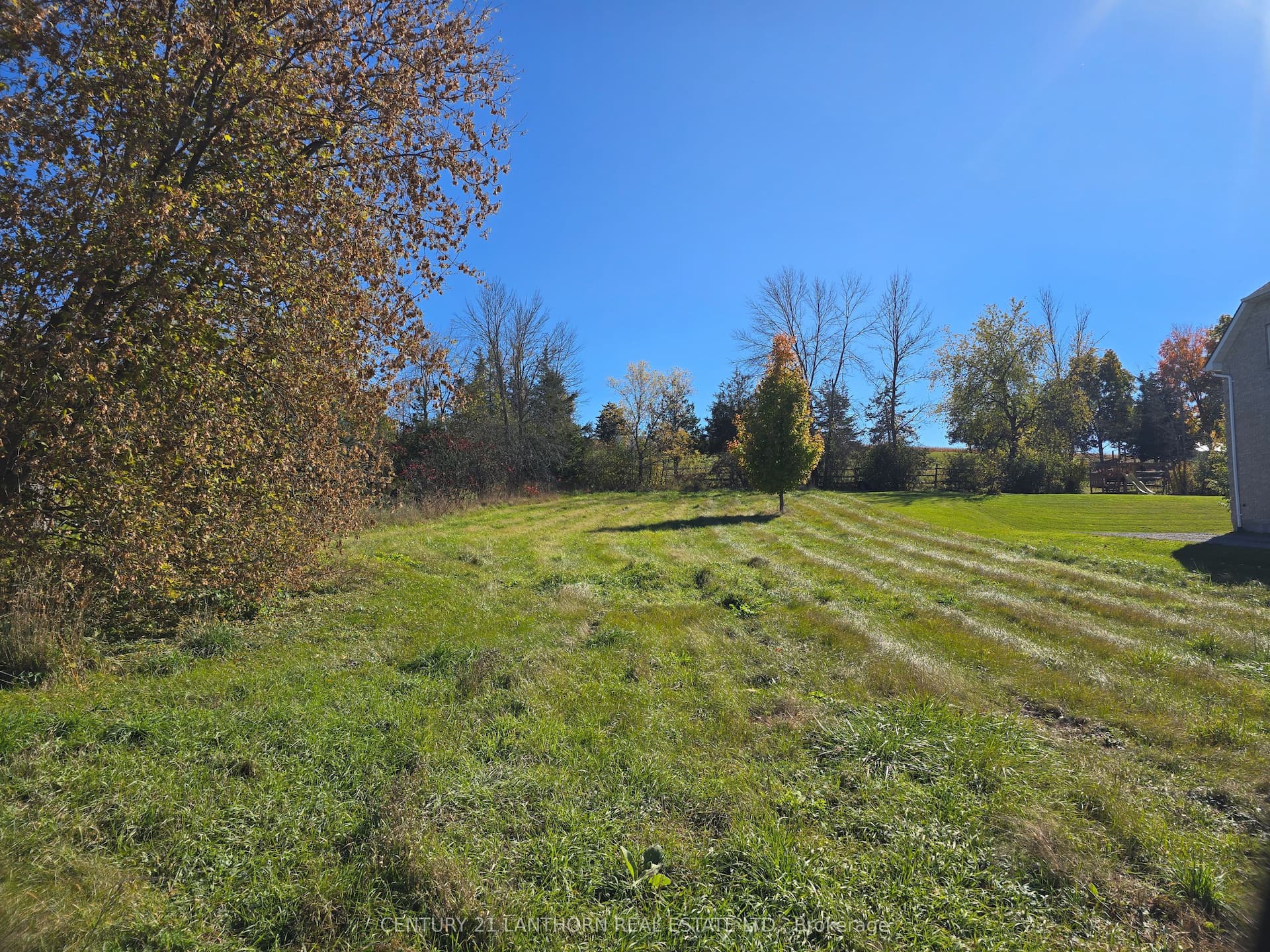 0 Palace Road — photo 1