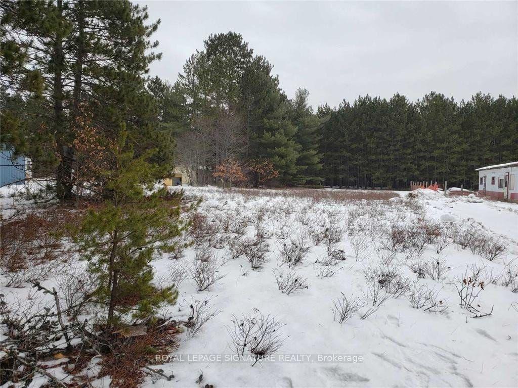 39780 Combermere Road — photo 1