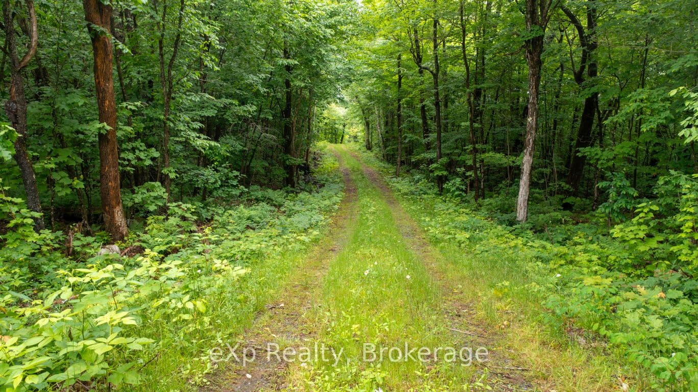 3 Kingfisher Road — photo 1