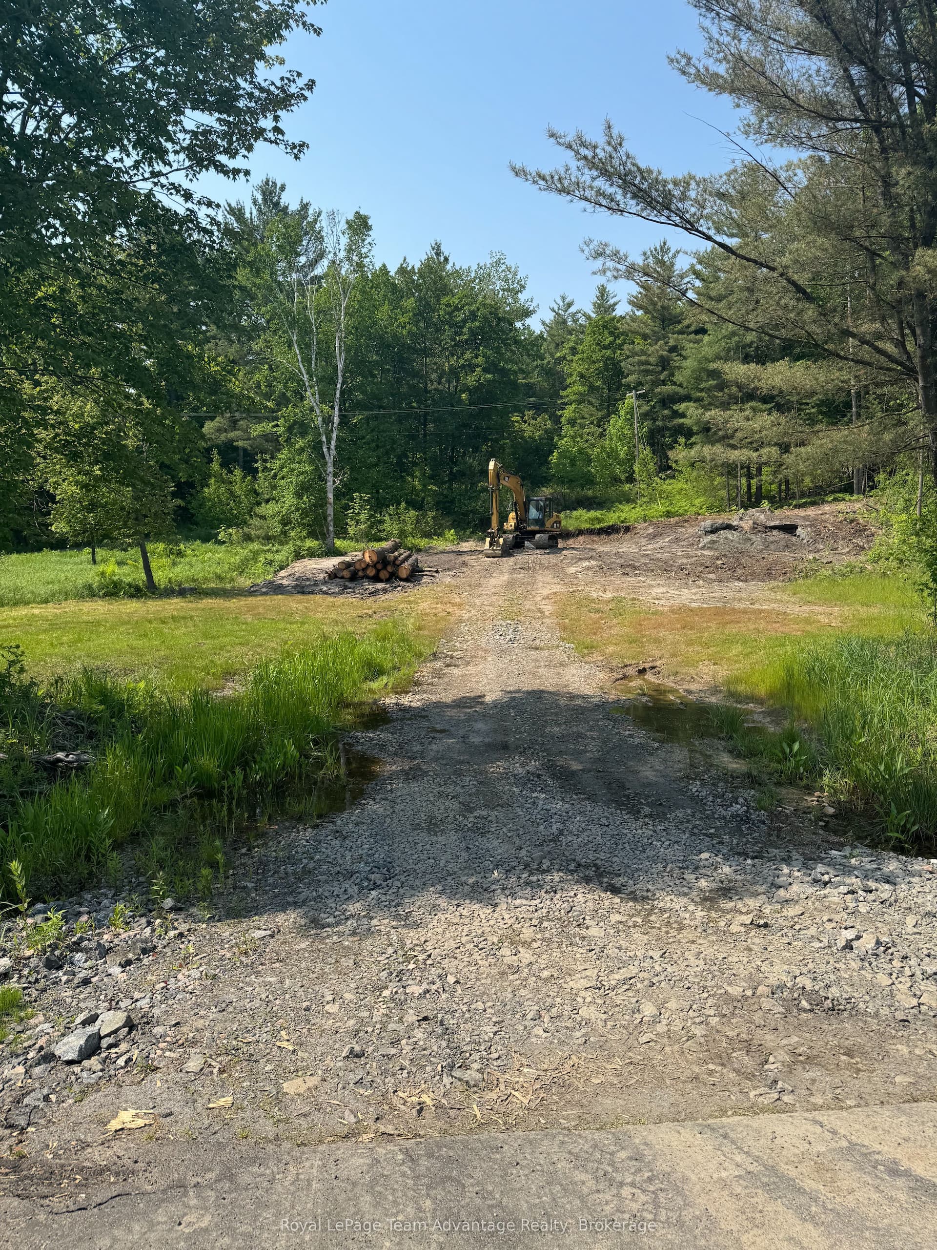 98 Louisa Street — photo 1