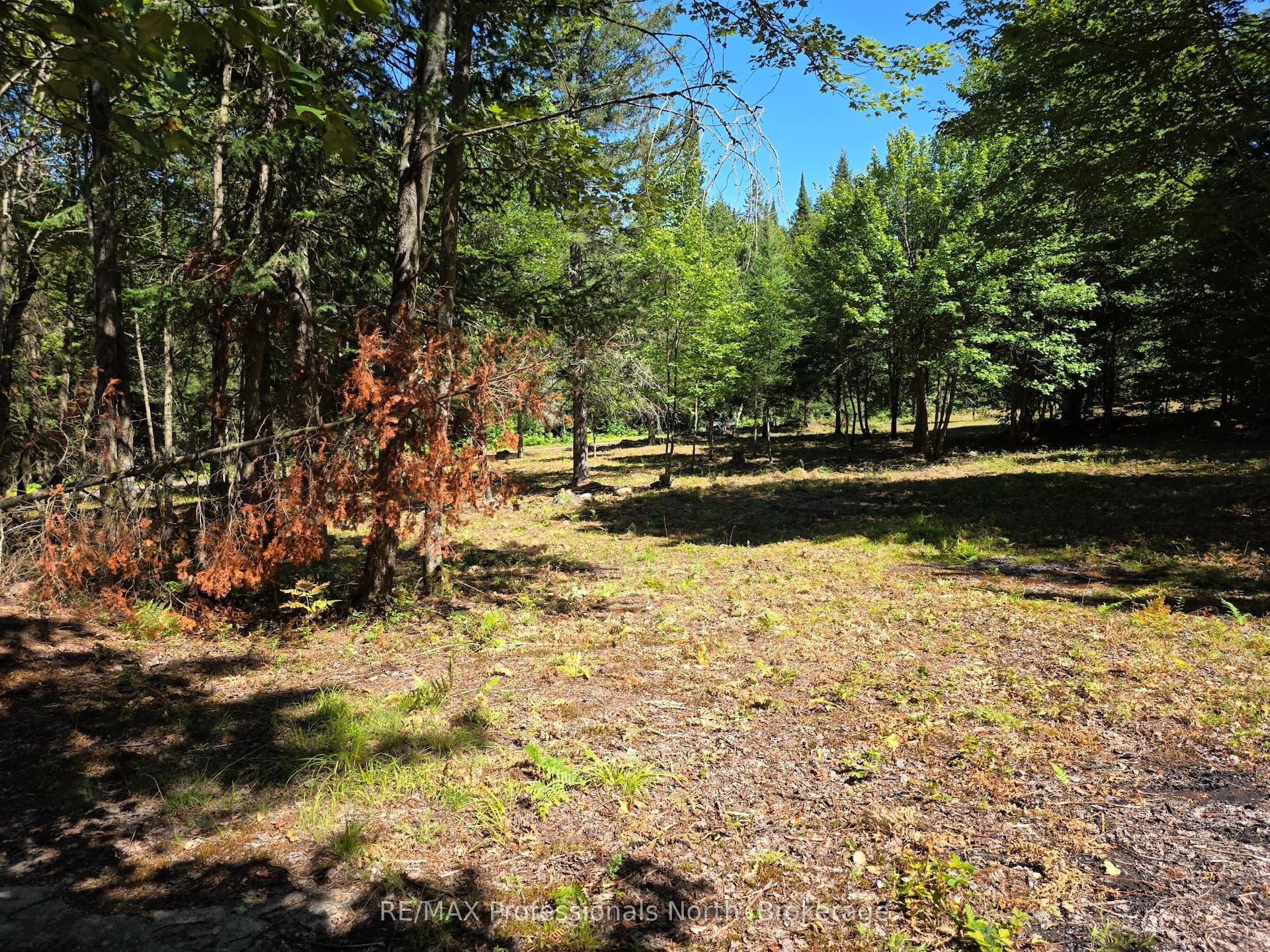 00 Whitney Road — photo 1