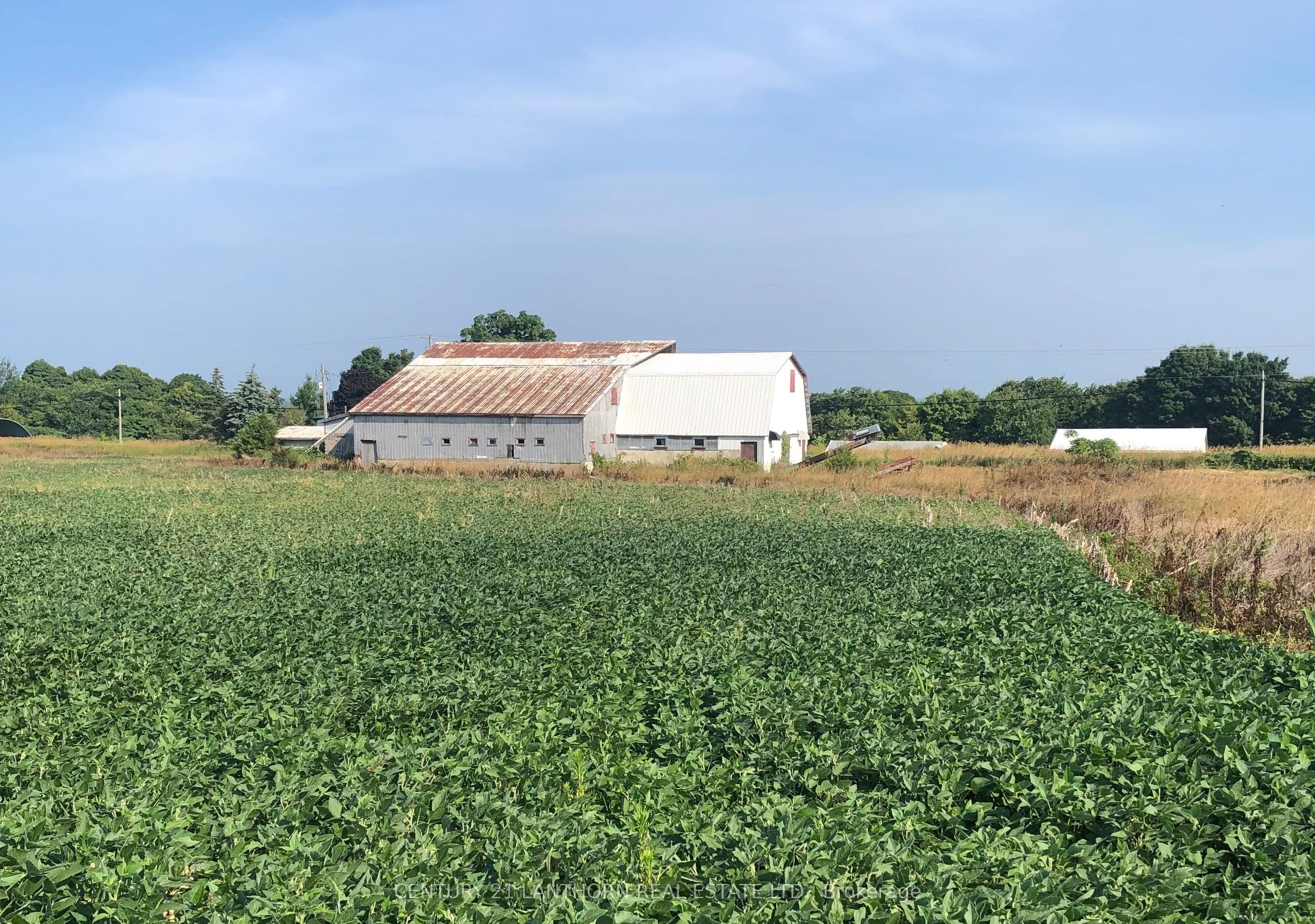 1546 County Road 7 Road W — photo 1