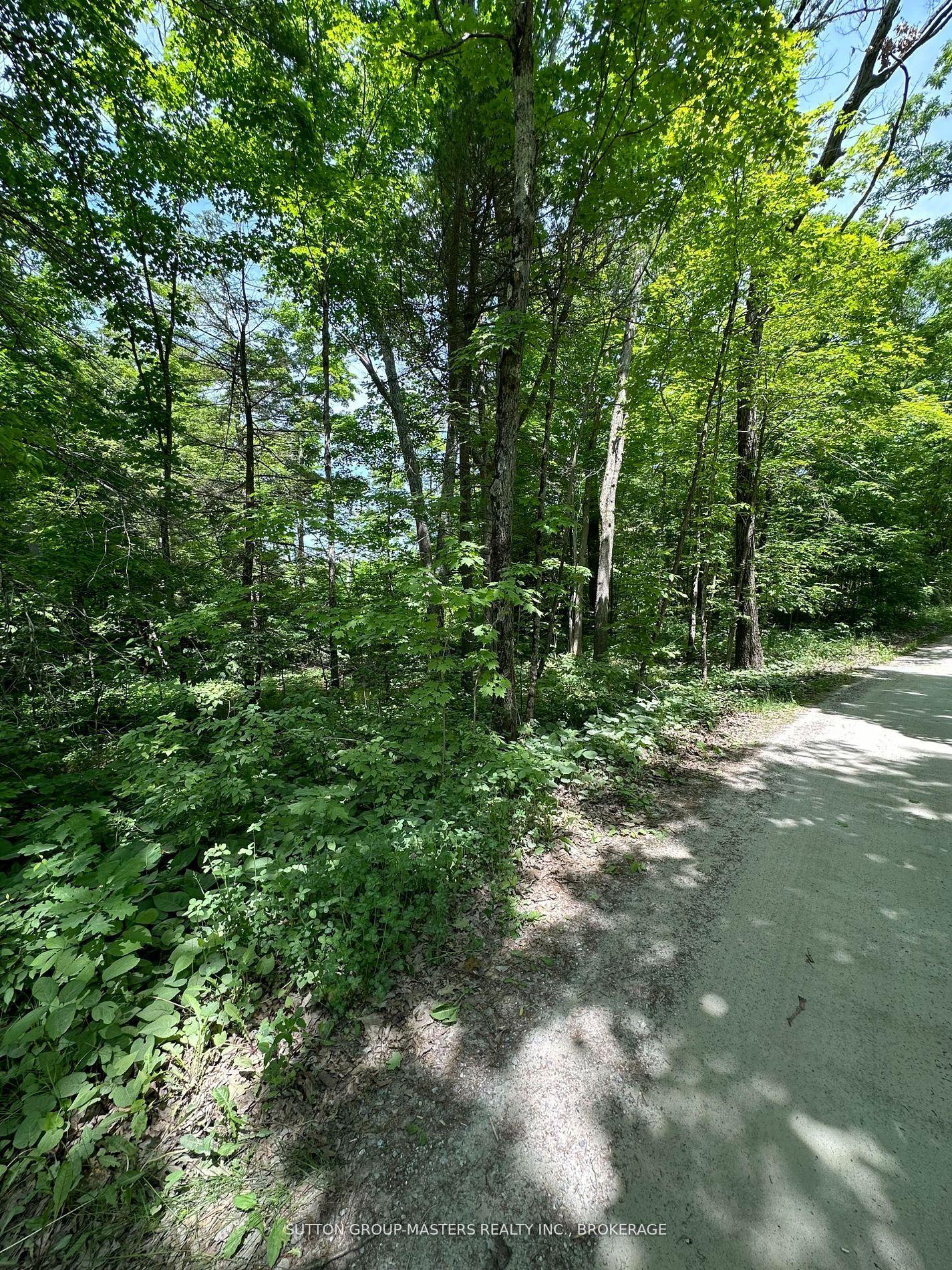 0 Maple Grove Lane E — photo 1