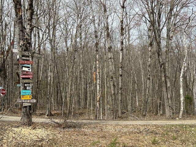 Lot Silverwood Road — photo 1