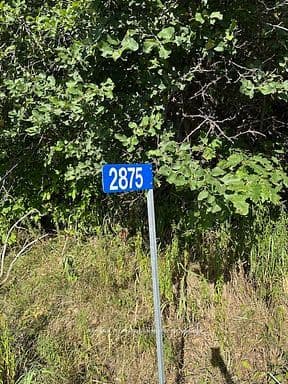 2875 County Road 21 Road — photo 1