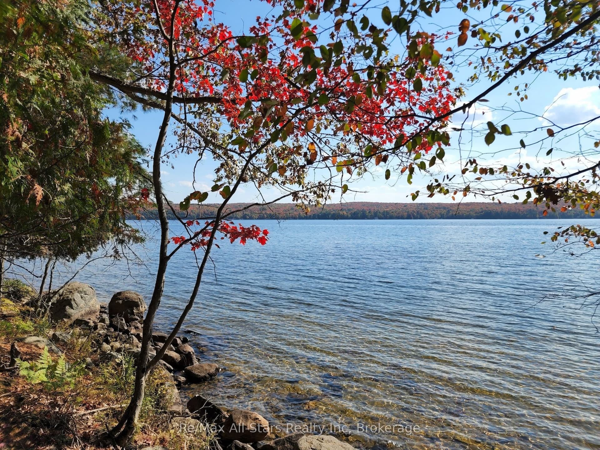 504 Bigwin Island N/A — photo 1