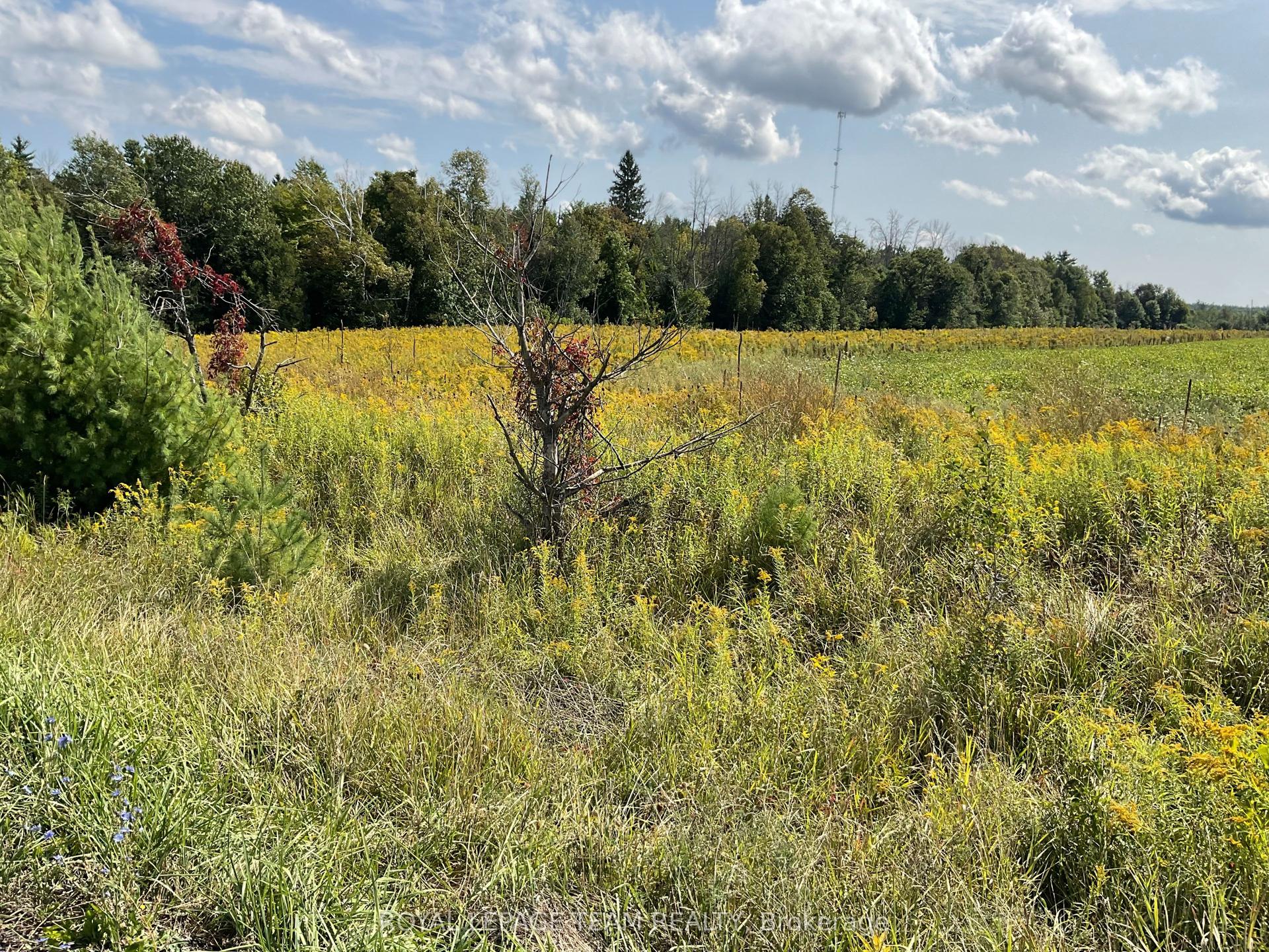 1211 BELLAMY Road — photo 1