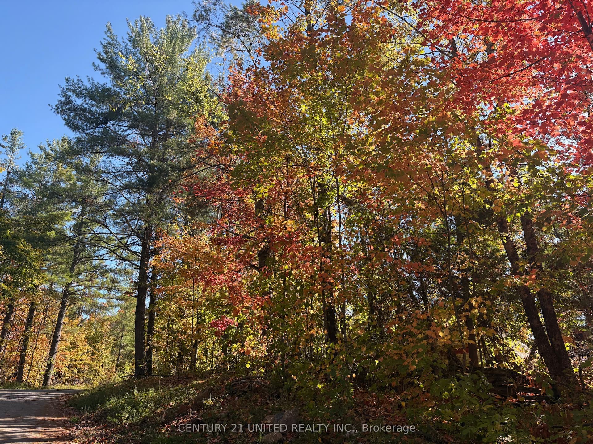 N/A Twin Sister Lakes Road — photo 1