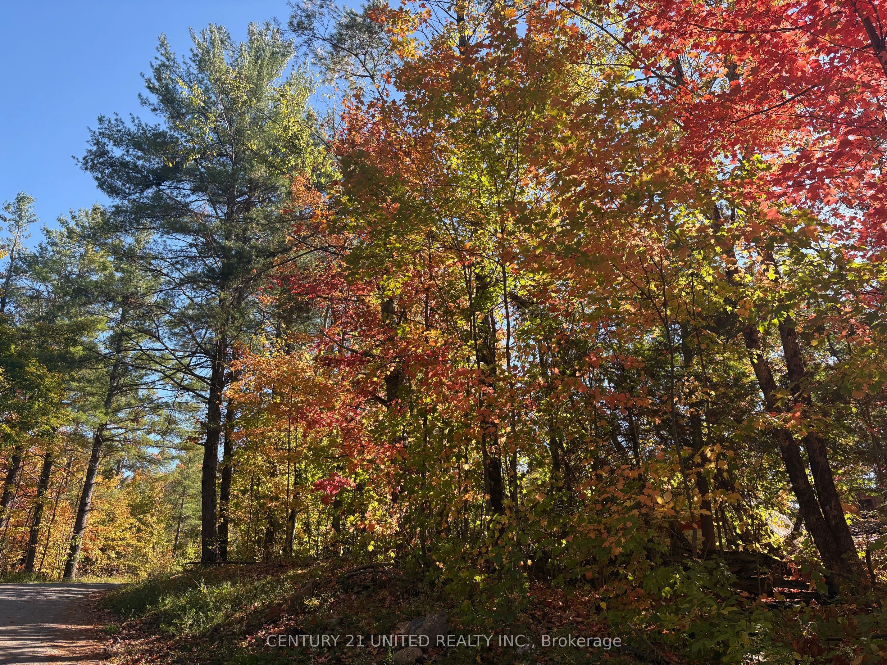 N/A Twin Sister Lakes Road — photo 1